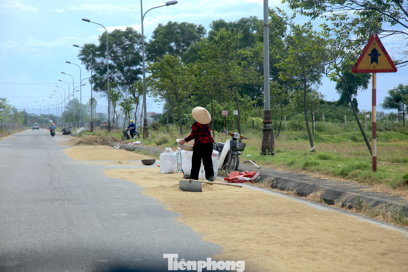 Tuyến đường Ngô Quyền (TP Hà Tĩnh) được đầu tư 173,5 tỷ đồng, dài hơn 6km, nối từ quốc lộ 1A (xã Thạch Trung) đến cầu Thạch Đồng (xã Đồng Môn) nay trở thành nơi phơi lúa của người dân. Dọc tuyến đường mỗi người tự chia một vị trí để phơi lúa.