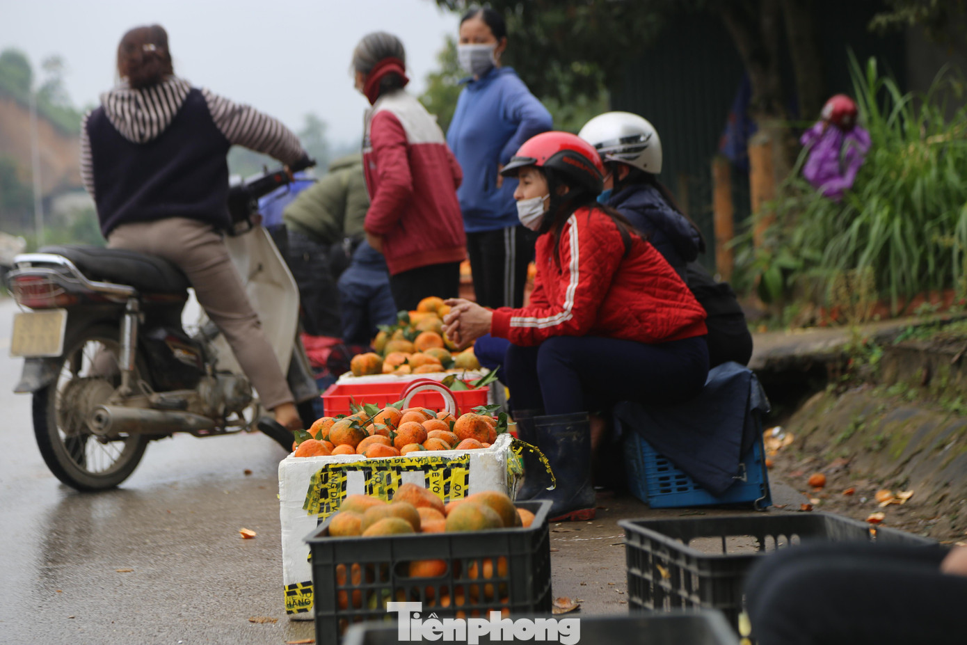 Sau Tết, thị trường cam bù nhộn nhịp hơn, khi nhiều người mua để đưa ra Hà Nội, vào miền Nam để làm quà.