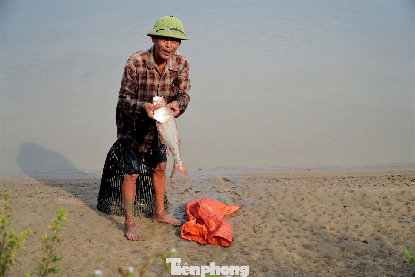 Sau khi hồ cá mở cửa, gần trăm người hồ hởi mua vé và cùng xuống hồ thi nhau trổ tài bắt cá. Những “nơm thủ” có kinh nghiệm cũng bắt được từ 5-10 con cá….