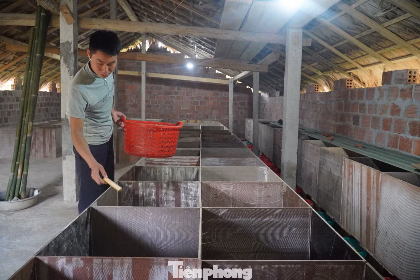 Chuồng trại nuôi dúi của anh Nhâm được xây dựng tại khu vườn của gia đình.