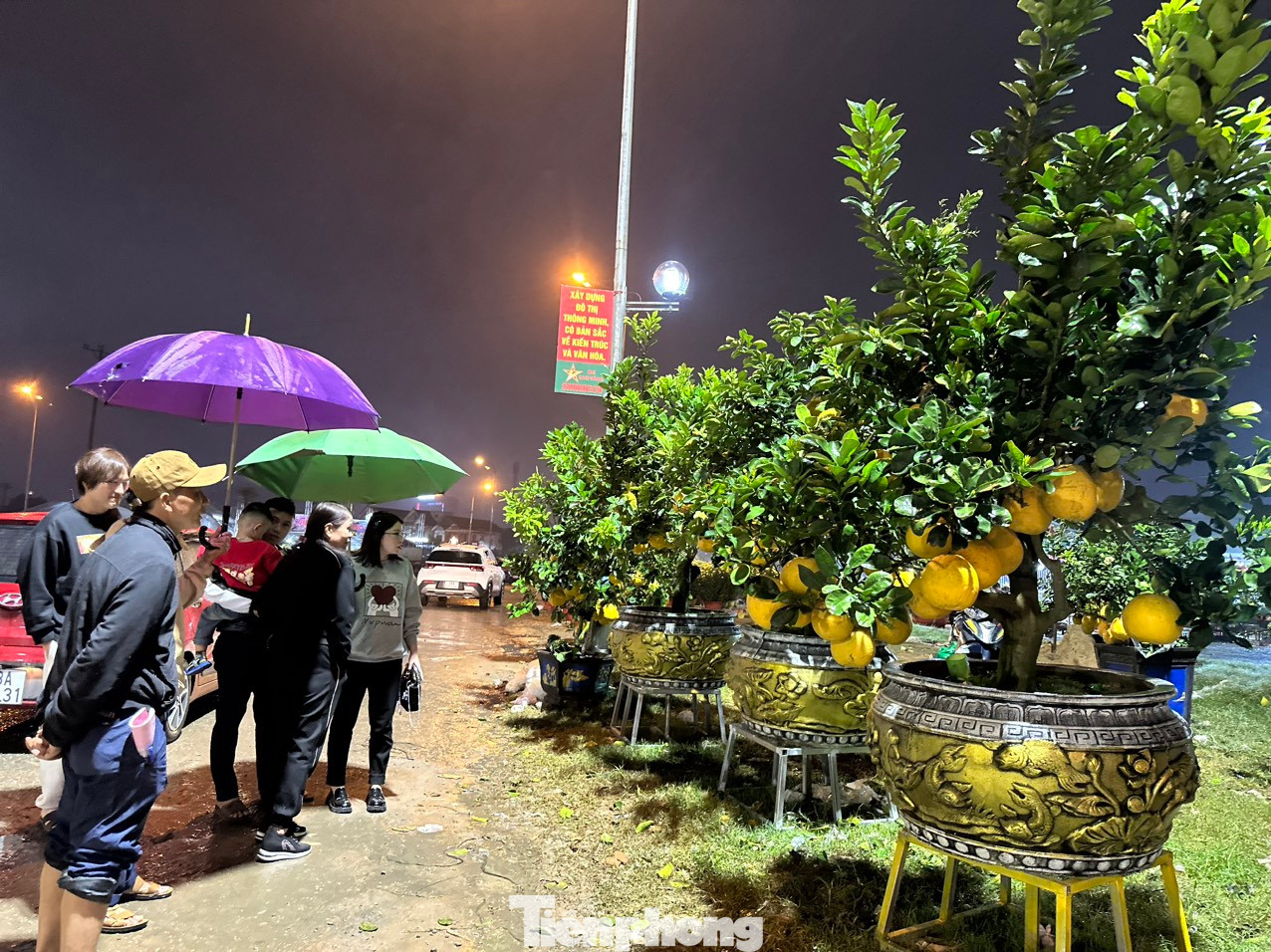 Trong đêm, một số khách đến để xem bưởi cảnh về trưng tại nhà...