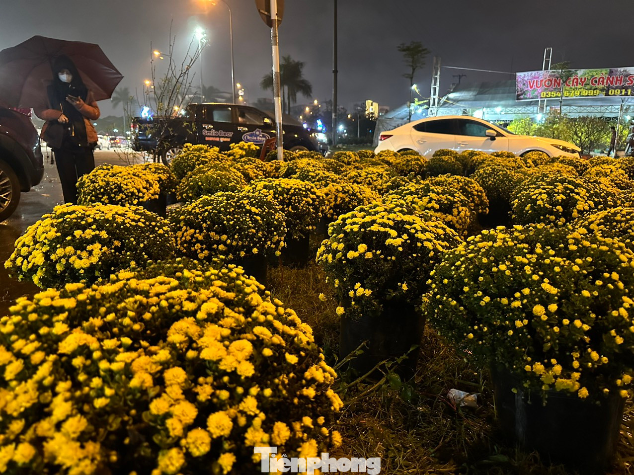 Hoa cúc, đào nở rực đón Tết nhưng vắng khách mua dù đã cận kề Tết.