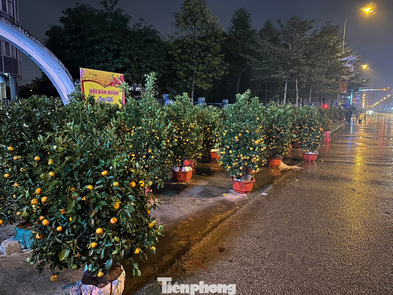 Đêm 29 Tết, con đường Xô Viết Nghệ Tĩnh (thành phố Hà Tĩnh) vẫn ngập tràn hoa, quất ở hai bên lề đường.