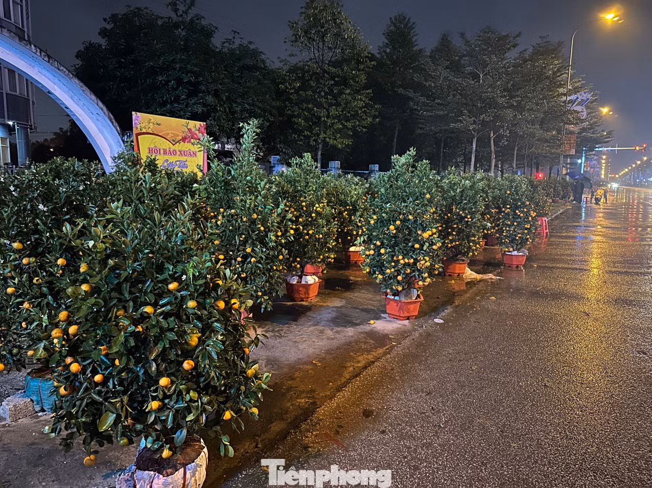Đêm 29 Tết, con đường Xô Viết Nghệ Tĩnh (thành phố Hà Tĩnh) vẫn ngập tràn hoa, quất ở hai bên lề đường.