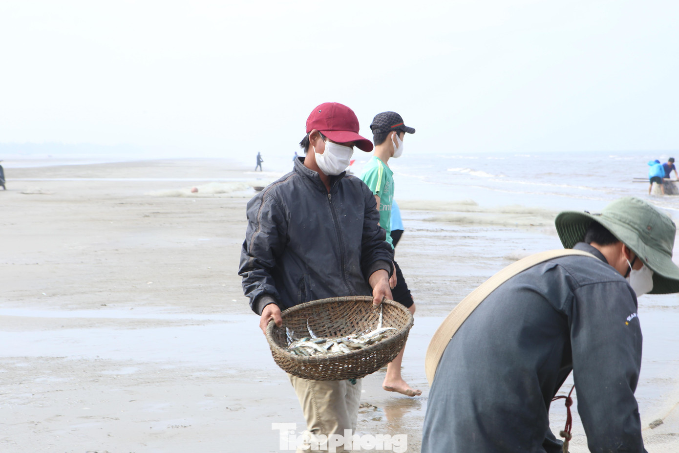 Cá chủ yếu đánh bắt gần bờ là cá trích, cá đù và cá đục. Loài cá này sinh sống gần bờ.