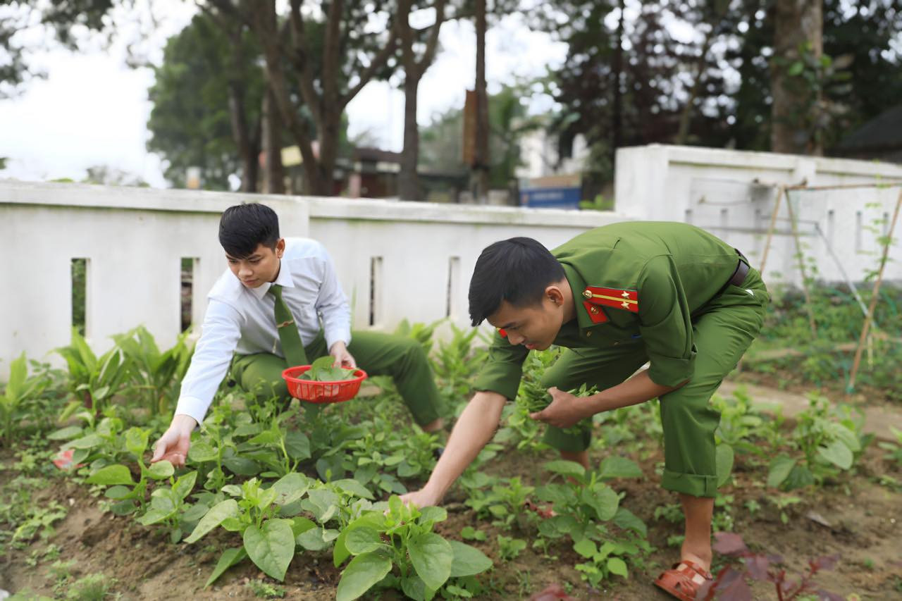 Hiểu rõ hơn về ý nghĩa công trình thanh niên này, các chiến sĩ công an đều tỏ ra thích thú, tự giác chăm sóc vườn rau sau giờ làm việc, đồng thời thu hoạch và gieo trồng rau theo thời vụ đảm bảo chất lượng.