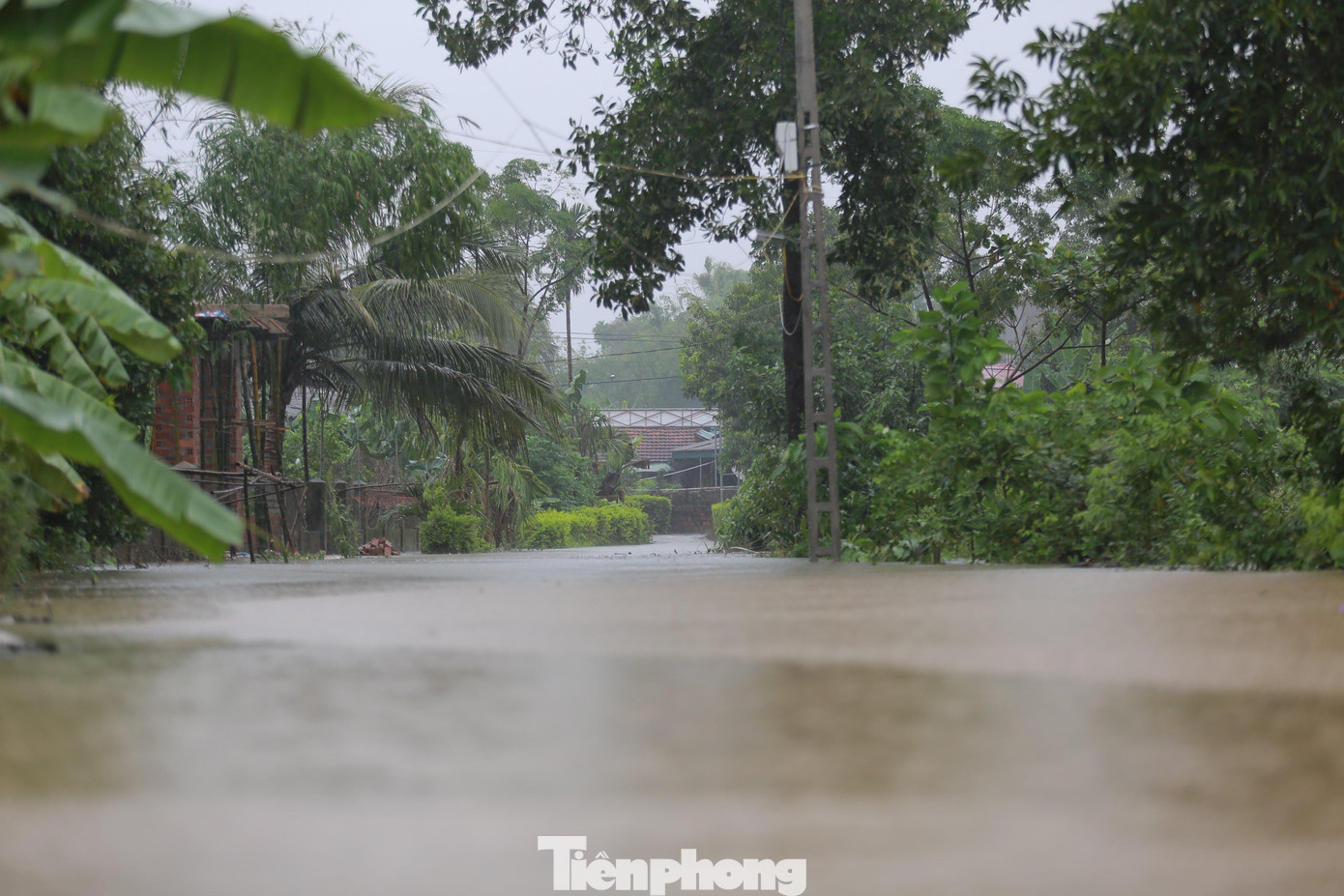 “Ngập nặng nhất là thôn Ngụ Phúc, đường bị ngập khoảng 1m. Địa phương đang soát xét các hộ gia đình neo đơn, già cả để di dân tại chỗ bằng hình thức ghép hộ nhằm đảm bảo phương án phòng chống dịch. Ngoài ra cũng huy động, thông báo kê cao tài sản ở các trường học, nhà văn hoá thôn để tránh bị thiệt hại”, ông Chiến chia sẻ.