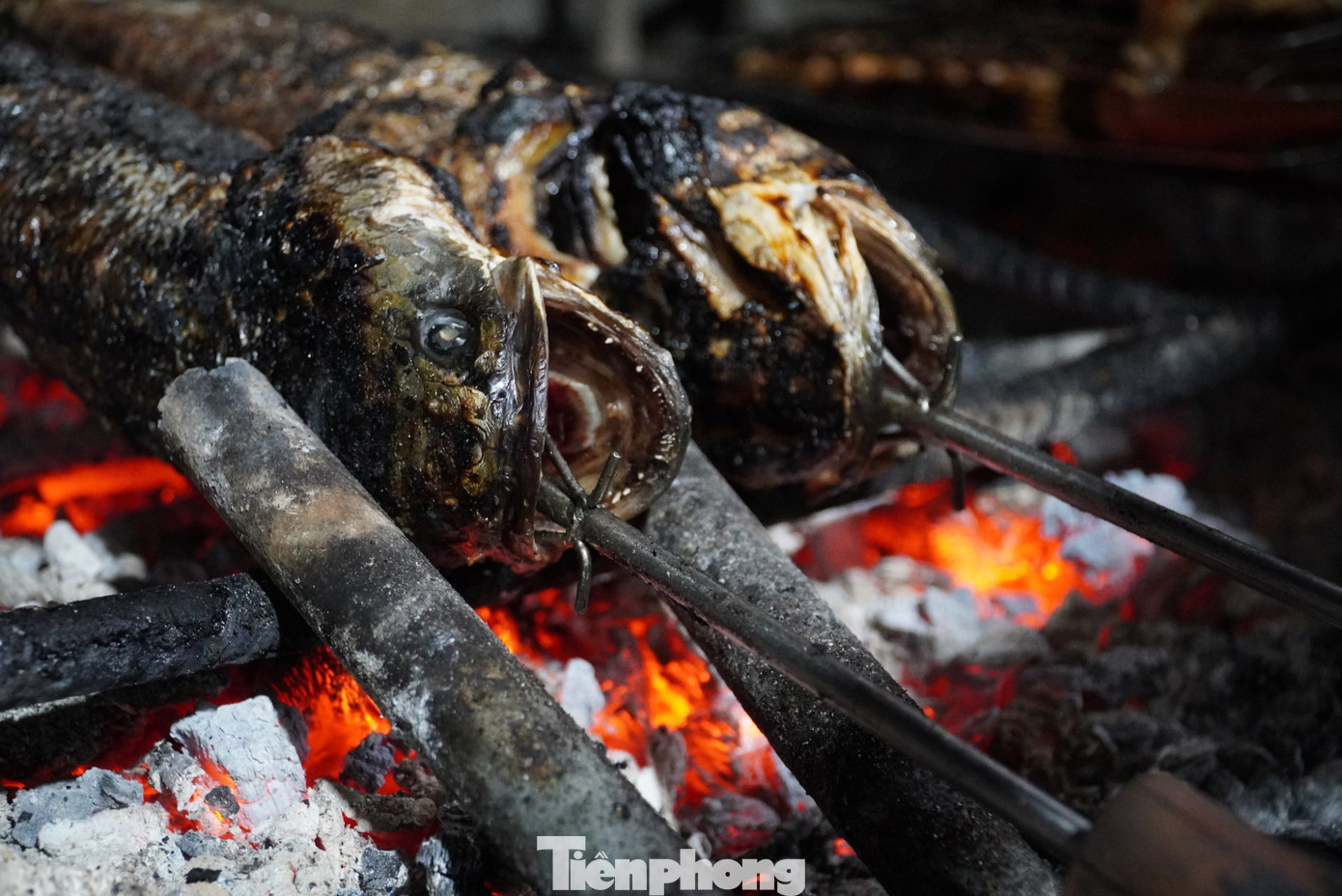 Món cá lóc nướng ăn cùng rau rừng trở thành món đặc sản ở huyện Hương Khê (Hà Tĩnh).