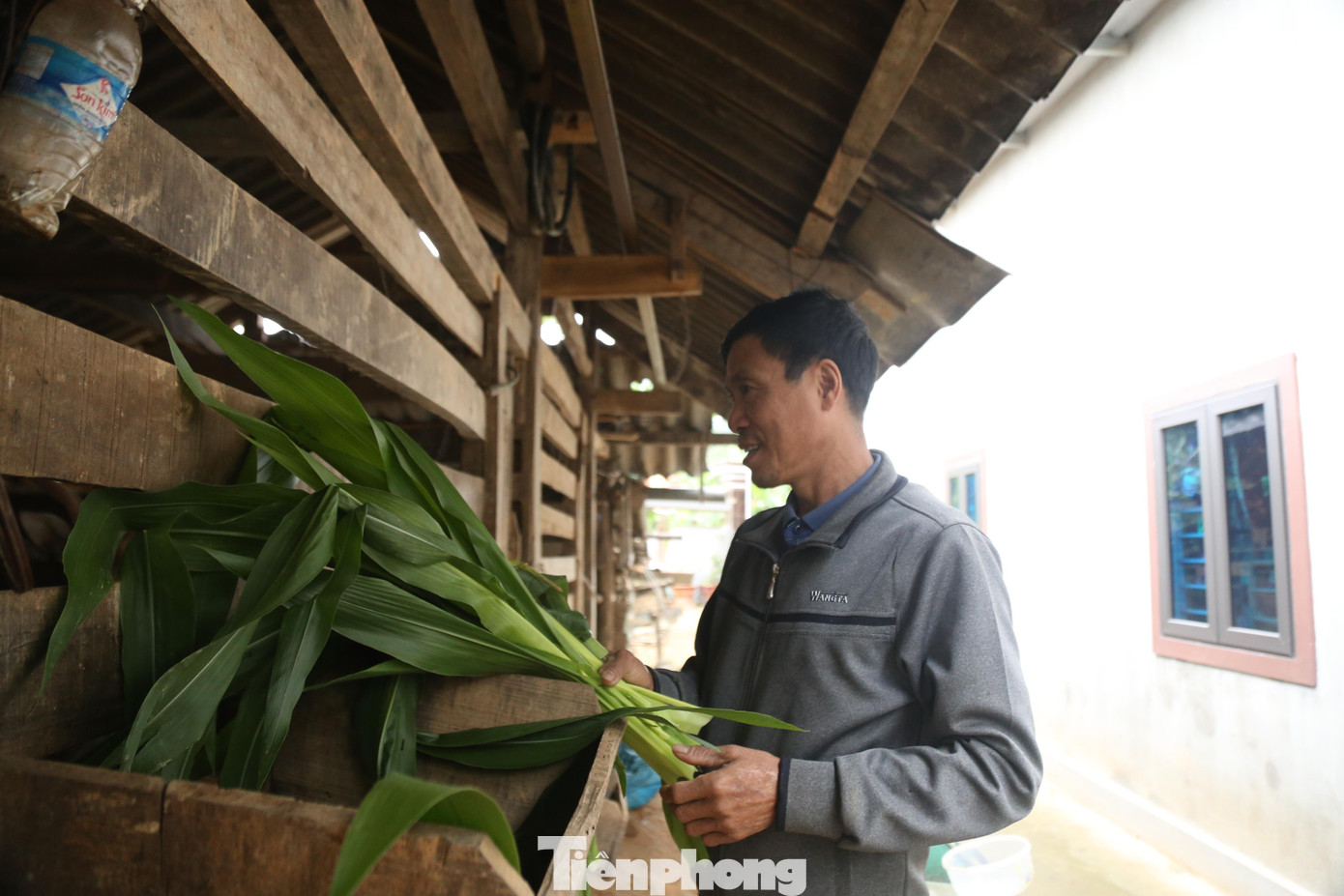 Mỗi con hươu khi ra lộc nhung người dân bổ sung ăn các loại ngô, sắn, nếp để đảm bảo đủ chất dinh dưỡng. Đặc biệt quan trọng hơn là hằng ngày ngoài cho ăn các loại cây, cỏ, người dân còn đi lấy những loại lá rừng (có tám loại lá rừng hươu thường ăn), trong đó phải có một số lá cây mà loài hươu yêu thích như lá dướng, lá sung, vải… để bảo đảm đủ thành phần dinh dưỡng cho hươu nhanh lớn, phát triển khỏe mạnh.