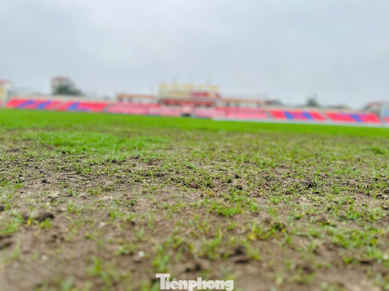 Kết quả kiểm tra ngành chuyên môn nhận thấy một số điểm trên bề mặt sân vận động Hà Tĩnh cỏ bị thưa, không đều, mấp mô… Kết quả kiểm tra ngành chuyên môn nhận thấy một số điểm trên bề mặt sân vận động Hà Tĩnh cỏ bị thưa, không đều, mấp mô…
