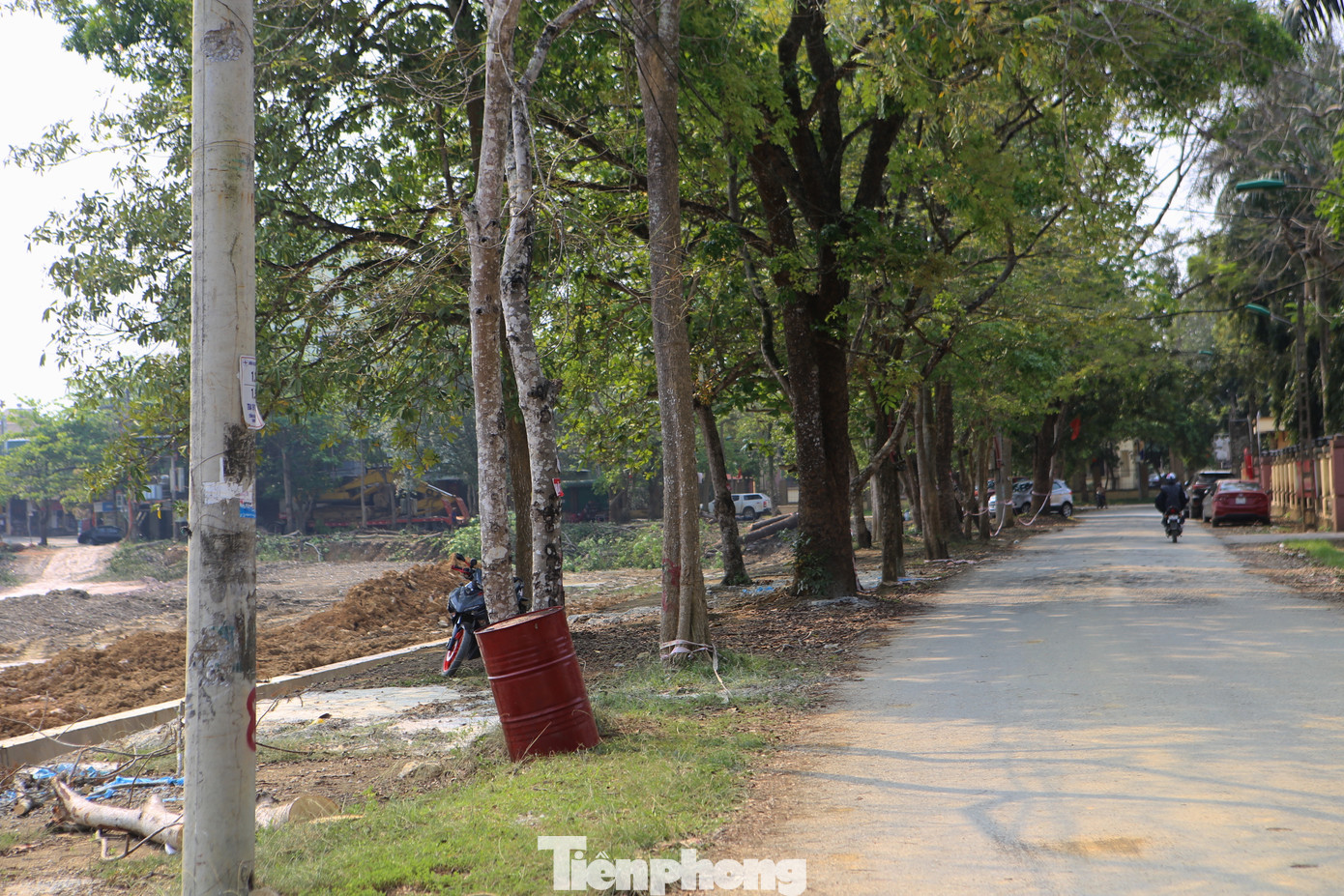 Để thực hiện dự án, huyện Hương Khê buộc phải di dời, chặt bỏ hàng trăm cây xanh xung quanh khuôn viên hồ Bình Sơn (thị trấn Hương Khê). Trong ảnh những cây cổ thụ quanh bờ hồ Bình Sơn được trồng từ hàng chục năm trước.