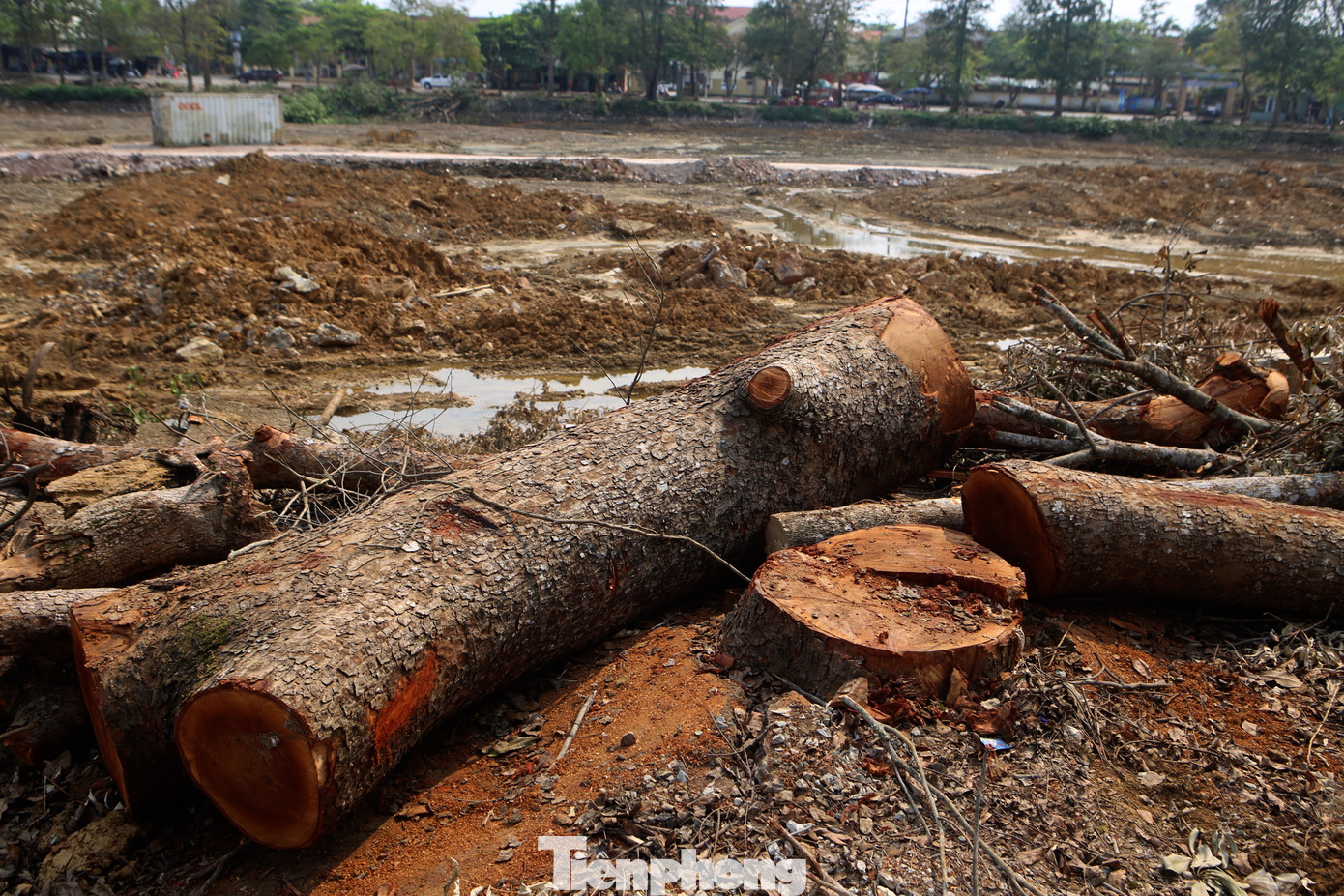 “Giữa nắng nóng đỉnh điểm, chặt loạt cây xanh chúng tôi cũng buồn, tiếc nuối. Bởi hàng cây xanh này trên mấy chục năm tuổi, gắn bó với bao thế hệ”, chị Nguyễn Thị Hương (trú thị trấn Hương Khê) nói.