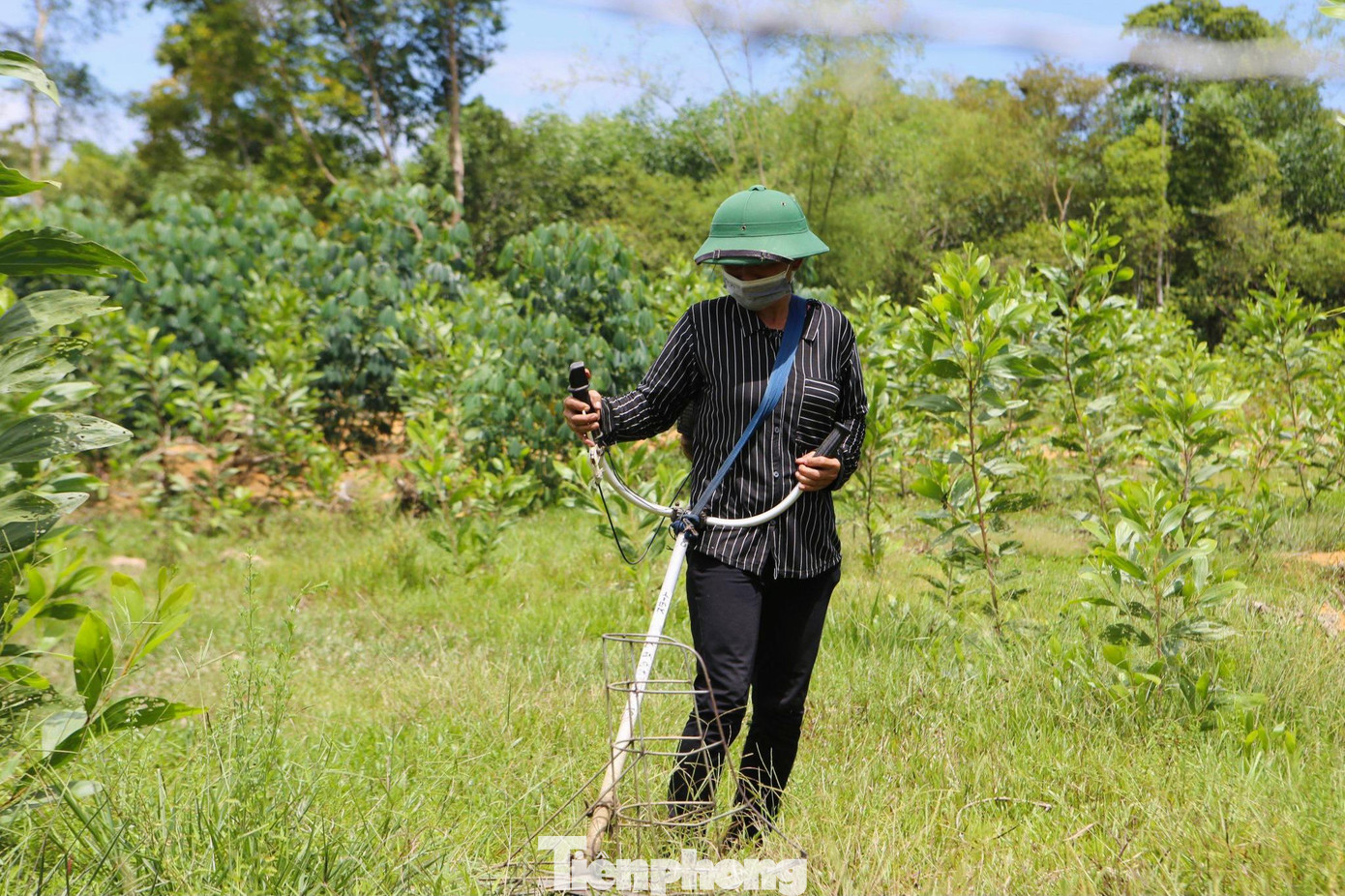 Mẹ Lam thường ngày vẫn đi cắt cỏ thuê kiếm tiền về trang trải cuộc sống cho 3 mẹ con.