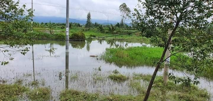 Khu vực nơi phát hiện thi thể người đàn ông.