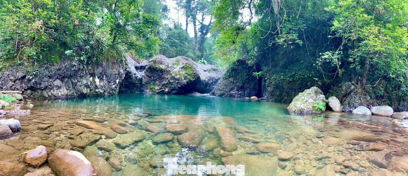 Vườn quốc gia Vũ Quang có tổng diện tích rừng trên 57.000 ha, trong đó có trên 30.000 ha là rừng giàu lưu giữ nhiều loài lâm sản quý giá. Đây cũng là nơi lưu giữ nguồn gen của các loài động vật, thực vật quý hiếm.