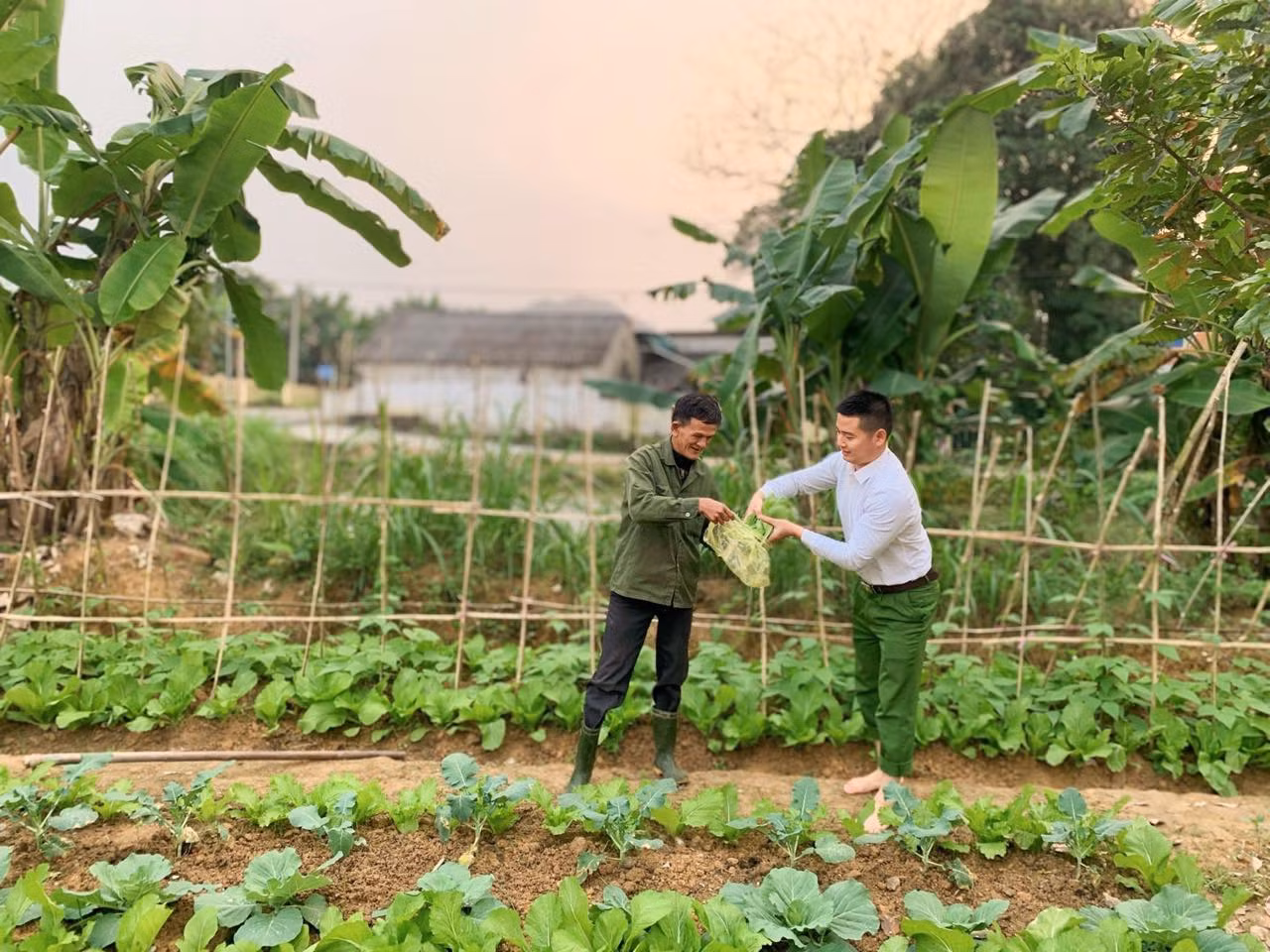 Mô hình “Vườn rau thanh niên” mang lại giá trị thiết thực và thể hiện sự gần gũi với nhân dân. Trong ảnh chiến sĩ công an thu hoạch rau tặng người dân địa phương.