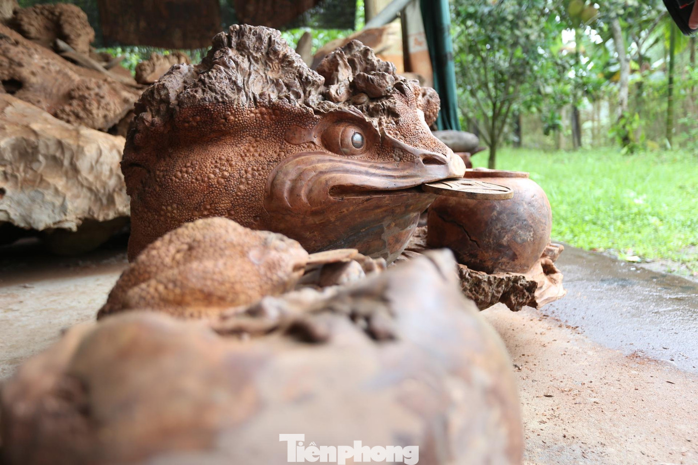 Từ những gốc cây, rễ cây tưởng chừng sẽ bỏ đi, nhưng anh Tuấn Anh đã sáng chế tạo ra những tác phẩm nghệ thuật điêu khắc có giá trị thương phẩm. Từ những gốc cây, rễ cây tưởng chừng sẽ bỏ đi, nhưng anh Tuấn Anh đã sáng chế tạo ra những tác phẩm nghệ thuật điêu khắc có giá trị thương phẩm.