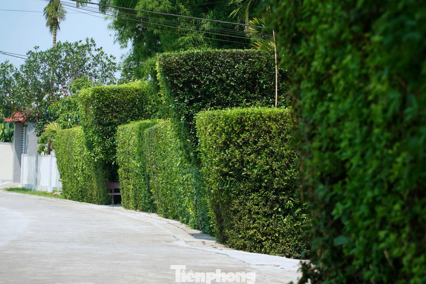 Chiếc cổng nhà, bờ rào “độc, lạ” tạo nên nét đẹp thơ mộng, mộc mạc trên quê hương cố Tổng Bí thư Trần Phú.