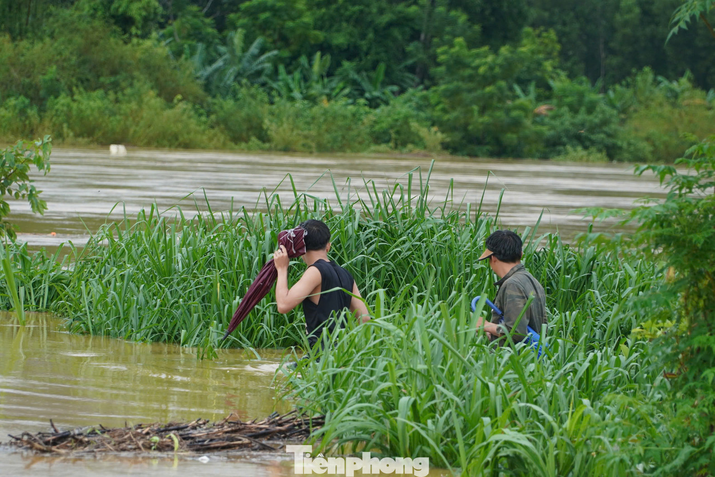 Dọc bờ sông Ngàn Phố chảy qua đoạn xã Sơn Trung, huyện Hương Sơn, rất nhiều người ra bờ sông để bắt dế. Thời điểm này nước lũ rút dần, nhiều rác thải cũng dạt vào những thửa đất canh tác hoa màu, trồng cỏ của người dân.