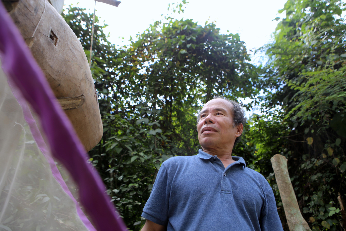 Ông Trần Văn Thanh (72 tuổi, trú thị trấn Tây Sơn, huyện Hương Sơn) cho biết, sau khi cho ong sứ vào tổ mồi đã treo sẵn, nó sẽ thám thính trong ống mồi, nếu thấy đây là nơi phù hợp để xây tổ, trú ẩn thì ong sứ sẽ bay đi gọi đàn.