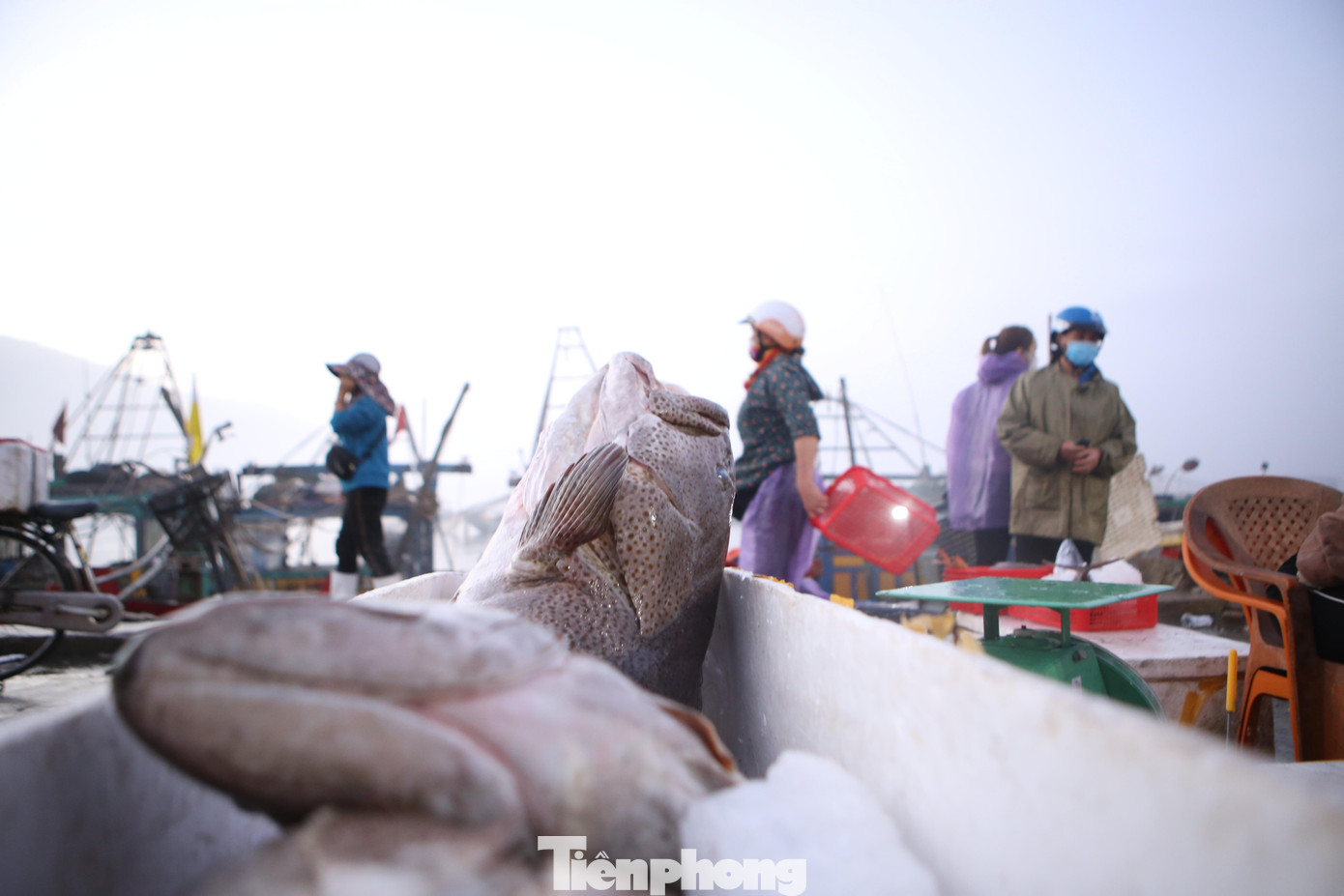 Cảng cá lớn nhất Hà Tĩnh trúng đậm ngày cuối năm ảnh 8