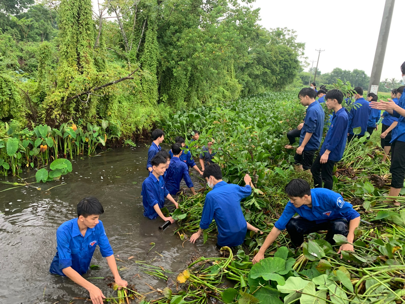 Sôi nổi hoạt động tình nguyện tại xã Tùng Ảnh.