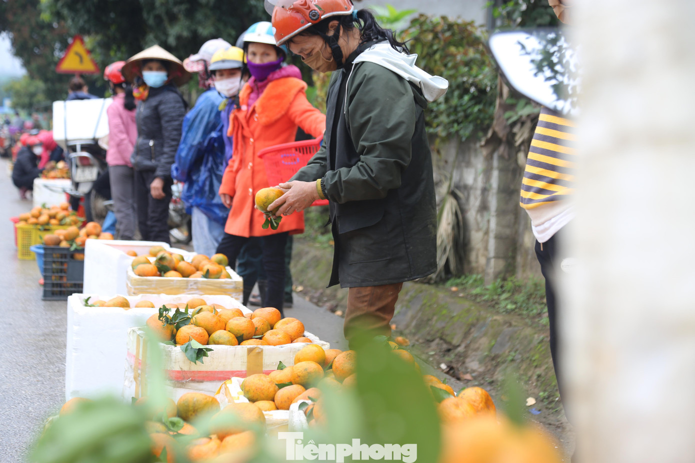 Thời điểm này, các vựa cam bù huyện miền núi Hương Sơn (Hà Tĩnh) đang vào vụ thu hoạch. Tại các con đường vào các xã ở Kim Hoa, Sơn Trường… người dân cắt và đưa cam ra đường để bán.