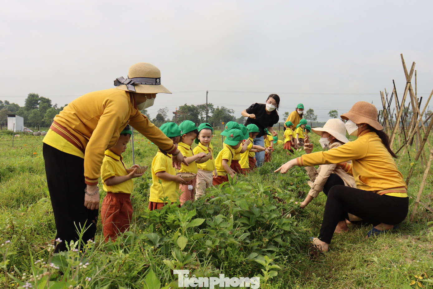 Hiện tại “Nàng thơ của đất” đã có được một lượng khách “ruột” đông đảo, chủ yếu là những người quen ủng hộ dài lâu. Ngoài ra nông sản cũng được phân phối tới các nhà bán lẻ ở Hà Tĩnh.