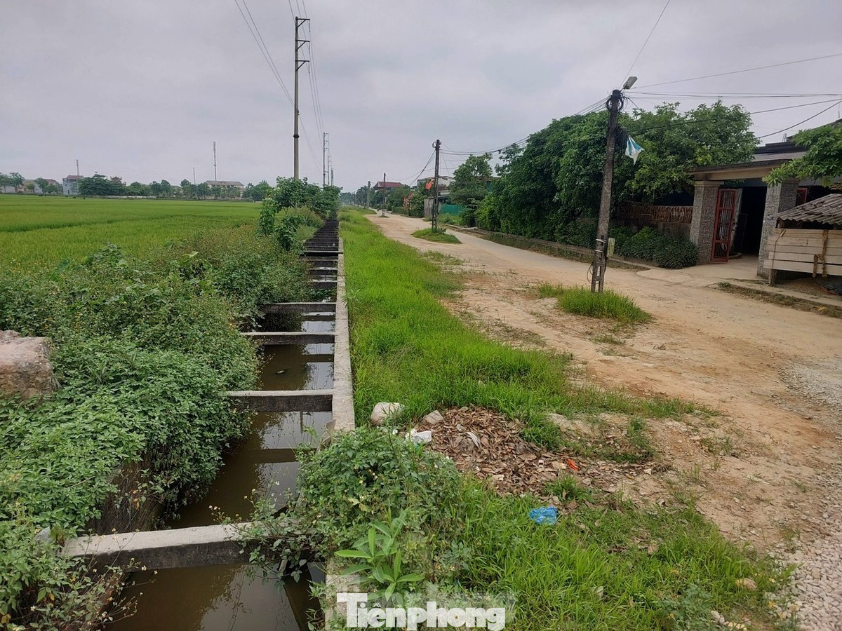 Tuyến đường Mai Thúc Loan đến Nguyễn Du kéo dài thời điểm phản ánh. Tuyến đường Mai Thúc Loan đến Nguyễn Du kéo dài thời điểm phản ánh.