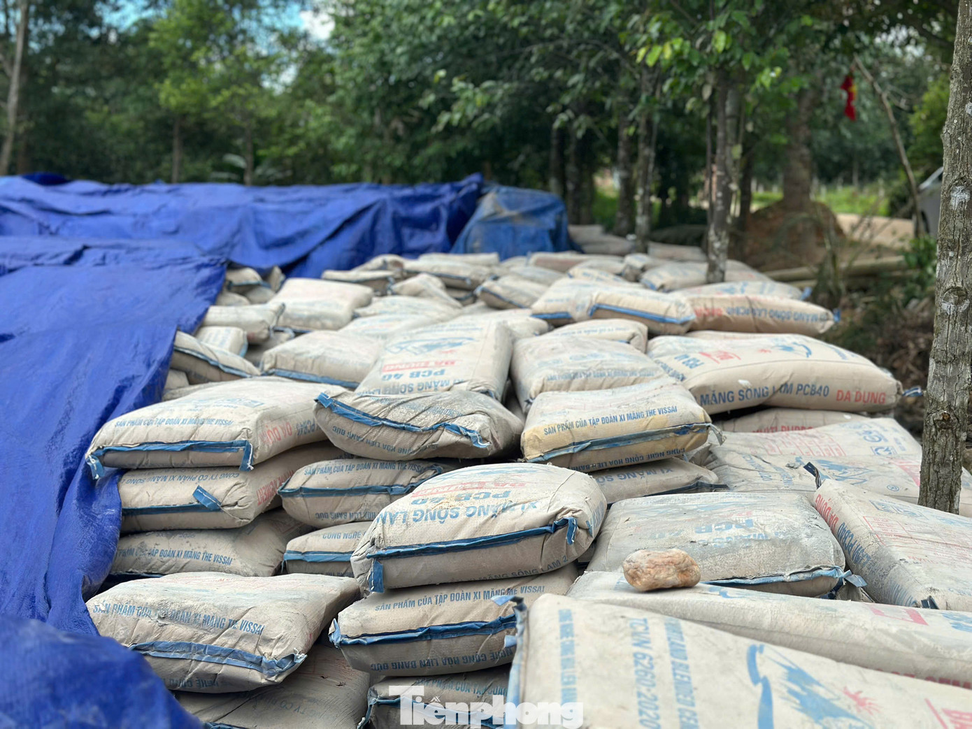 Hàng trăm tấn xi măng hư hỏng sau thời gian dài không sử dụng. Hàng trăm tấn xi măng hư hỏng sau thời gian dài không sử dụng.