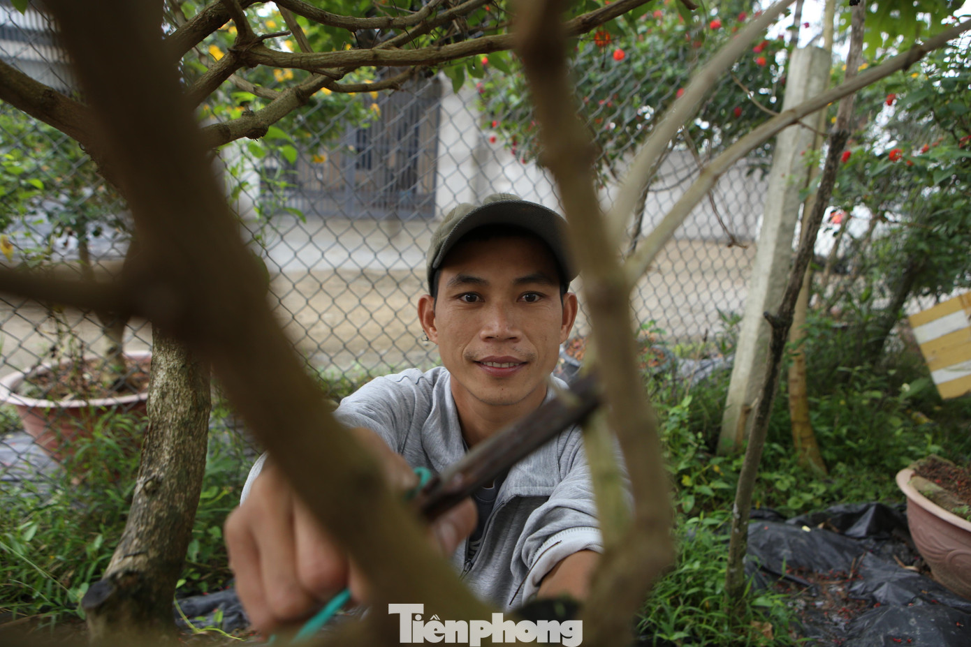 Có ít kinh nghiệm từ học ngành Lâm Sinh - Trường Trung cấp Nông Lâm Nghiệp, anh đã tìm tòi và bắt đầu học ghép cây.