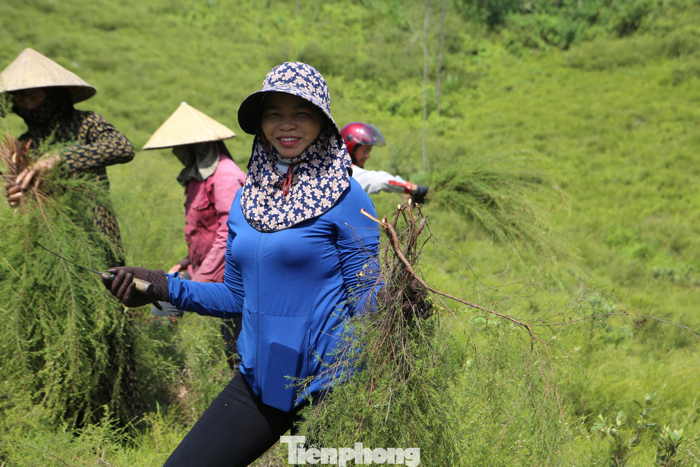 Niềm vui của người dân khi thu hoạch trện.