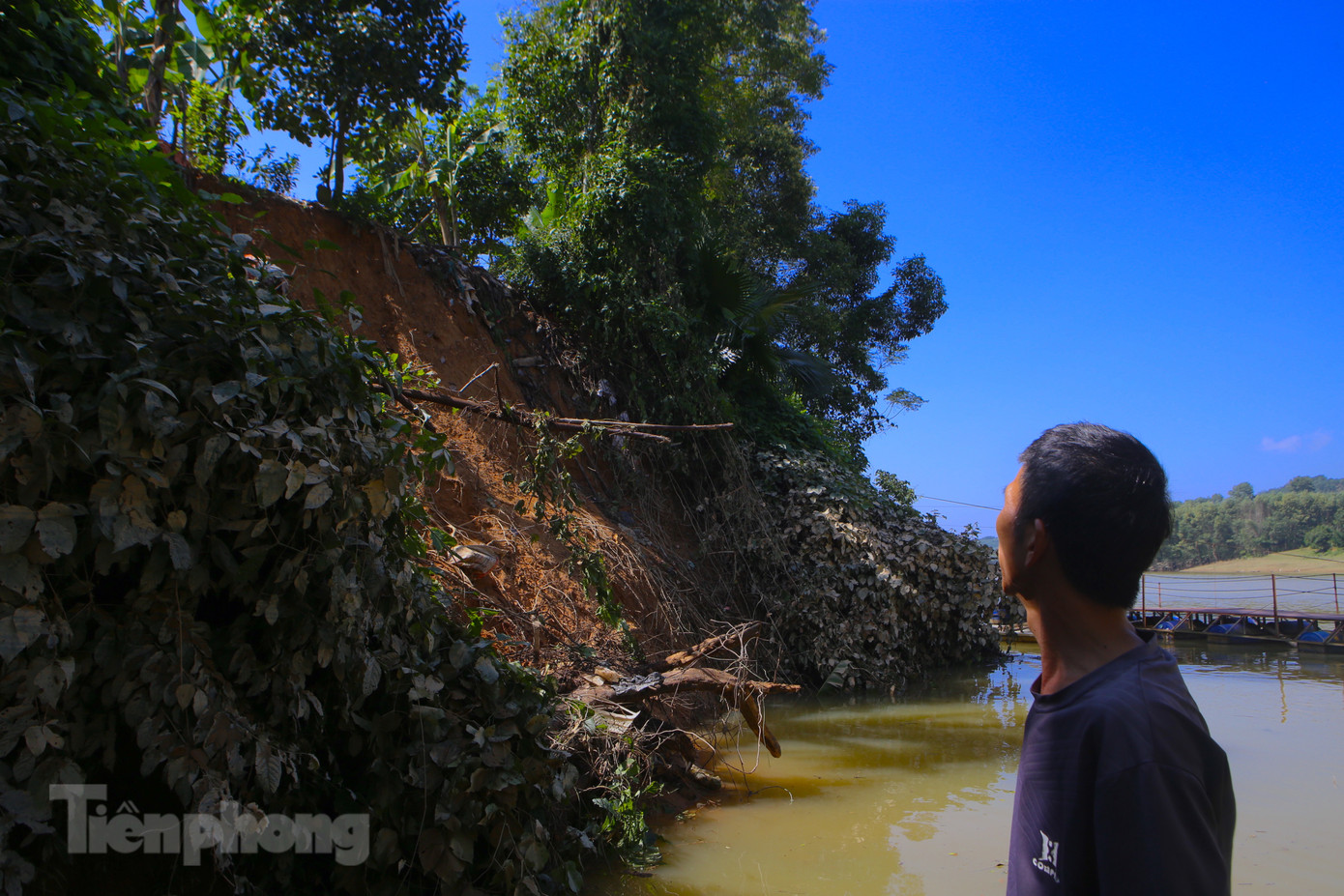 Khu vực bờ sông Ngàn Trươi sạt lở khiến người dân sống trong cảnh bất an. Khu vực bờ sông Ngàn Trươi sạt lở khiến người dân sống trong cảnh bất an.