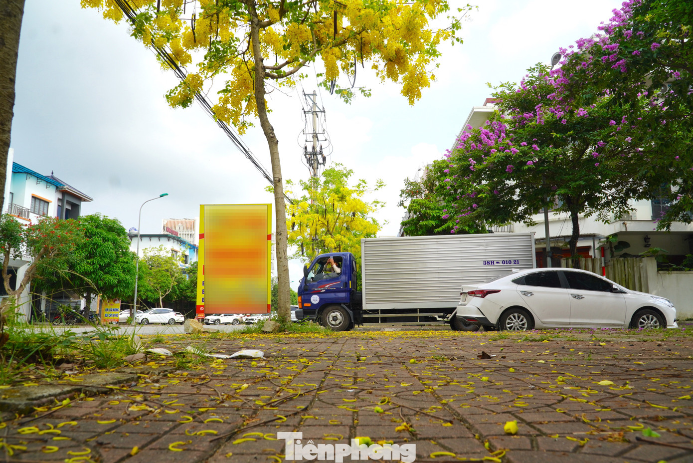 Sắc vàng của muồng hoàng yến nổi bật một góc trời, tạo khung cảnh yên bình giữa lòng thành phố sôi động.