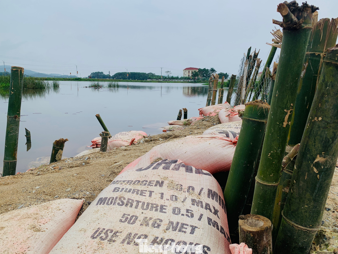 Đập Quát xã Sơn Giang (huyện Hương Sơn) bị sạt lở phần thân mái tràn. Lo lắng sẽ gây xói lở, ảnh hưởng đến khu vực dân sinh và đường giao thông, ngành chức năng đã dùng 200 bao tải cát, đóng cọc tre để gia cố phần sạt lở để lộ hàm ếch.