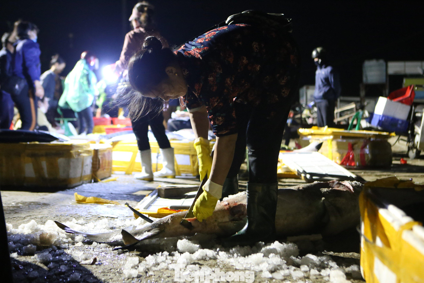 "Cá mùa biển động này ít vì ngư dân không thể vươn khơi nên giá cả vẫn cao hơn ngày thường. Chúng tôi bán cá tại cảng phải ra đây từ lúc hơn 3h sáng để chuẩn bị hàng hoá. Chợ hôm nay ít hơn so với mọi ngày, nhưng lượng tiêu thụ vẫn rất mạnh vì lo sợ những ngày tới mưa bão không thể có hải sản để tiêu thụ", bà Nguyễn Thị Liên (trú tại xã Thạch Kim, huyện Lộc Hà, tỉnh Hà Tĩnh cho hay).