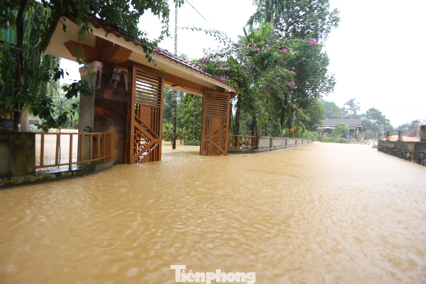 Trước tình hình mưa lớn vẫn tiếp tục kéo dài và nước sông Ngàn Sâu dâng cao, đe dọa ngập lụt, người dân khẩn trương sơ tán đồ đạc, trâu bò, lợn, gà... lên cao để tránh lũ.