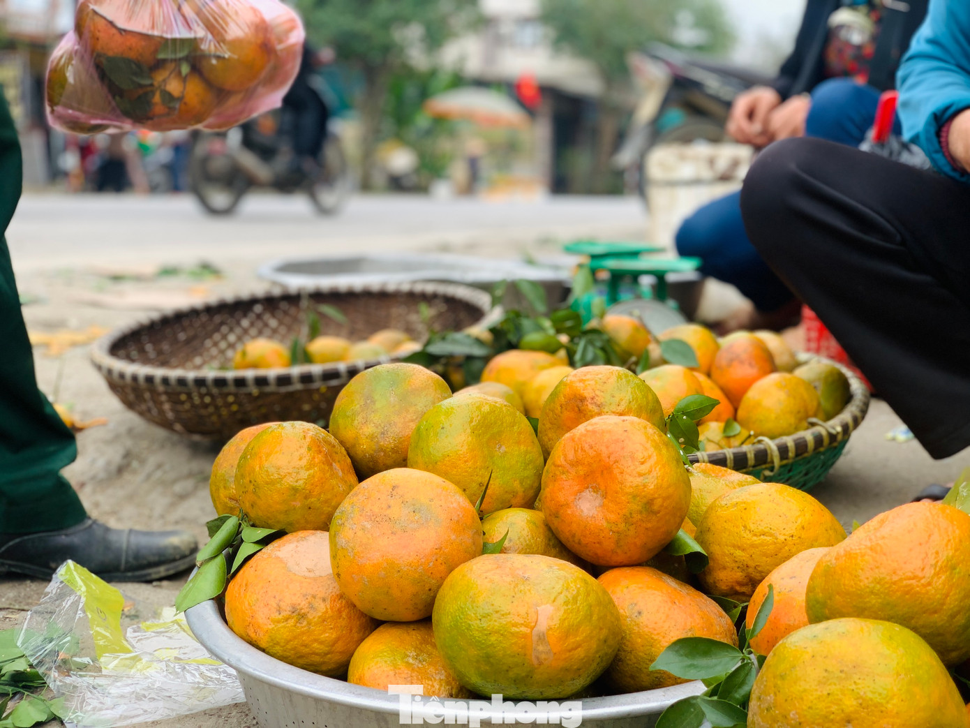 Thời điểm này, các vựa cam bù huyện miền núi Hương Sơn (Hà Tĩnh) đang vào vụ thu hoạch. Tại các con đường vào các xã ở Kim Hoa, Sơn Trường… người dân cắt và đưa cam ra đường để bán.