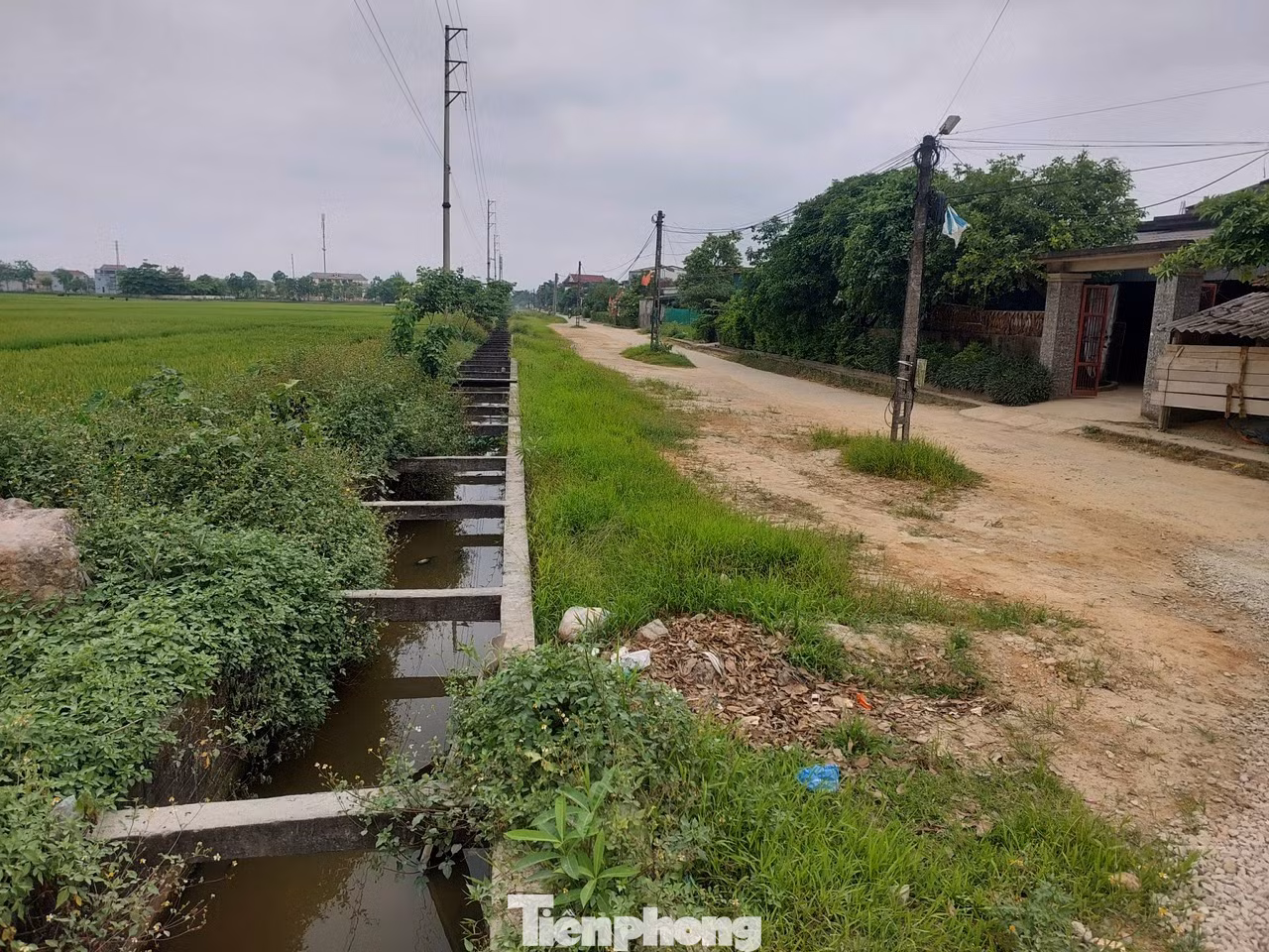 Đặc biệt, một số đoạn đã mở rộng, cột điện chưa được di dời, nằm chình ình giữa đường gây mất an toàn giao thông. Không ít trường hợp di chuyển vào ban đêm khi tầm nhìn hạn chế đã va vào cột điện.