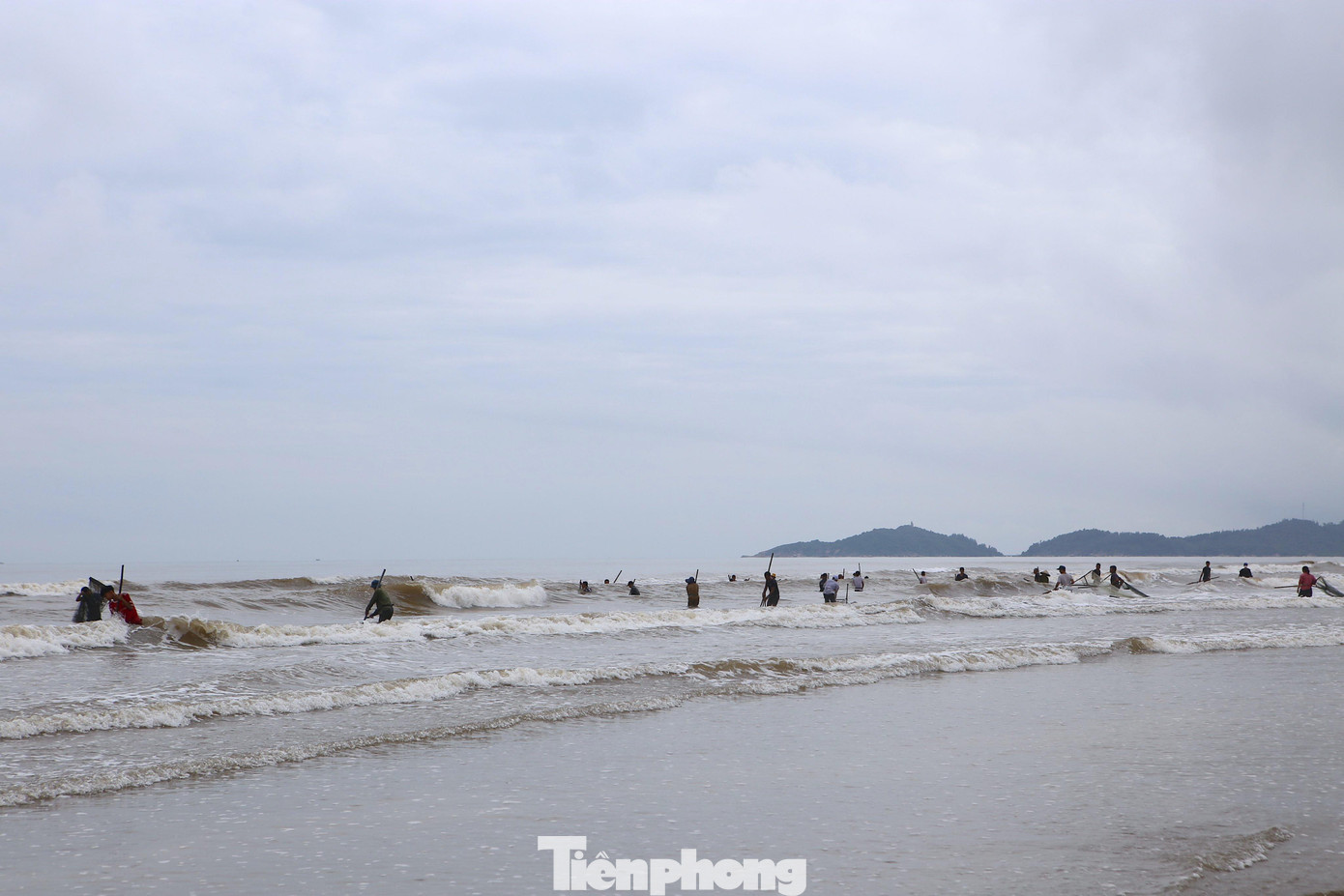Hai ngày nay, hàng trăm người dân ở xã Thạch Kim, Thạch Bằng, Thịnh Lộc (huyện Lộc Hà, tỉnh Hà Tĩnh) đổ xô ra bờ biển để vợt sò lông khi loài này trôi dạt vào bờ rất nhiều. Ghi nhận vào sáng 1/10, tại khu vực bờ biển nối từ xã Thịnh Lộc đến xã Thạch Kim dài khoảng 3km có hàng trăm người đến để bắt sò.