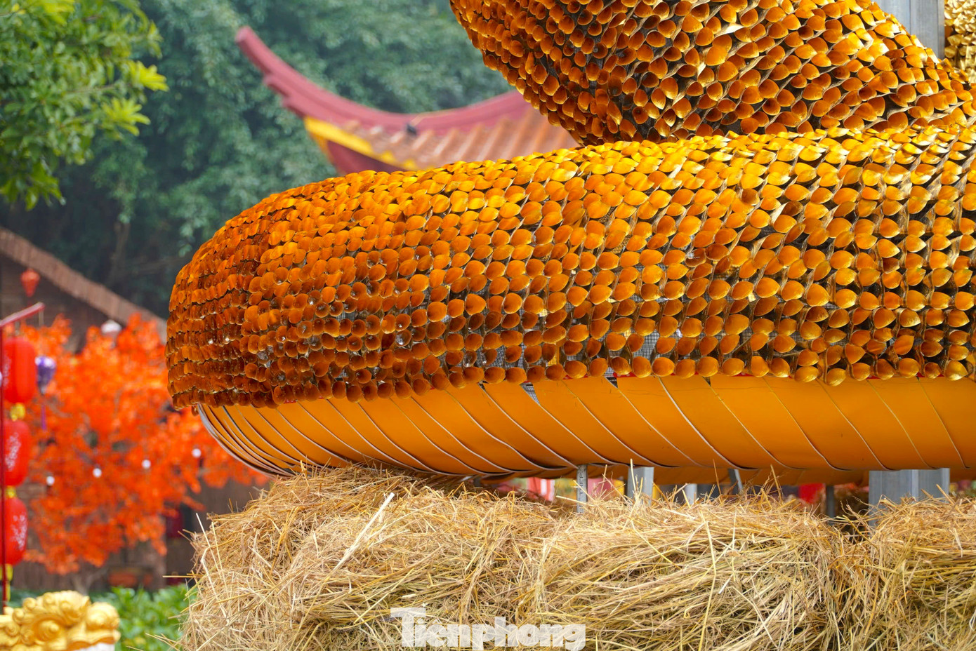 Phần thân và đuôi linh vật được thiết kế rất tỷ mỉ, chi tiết trong từng đường nét.