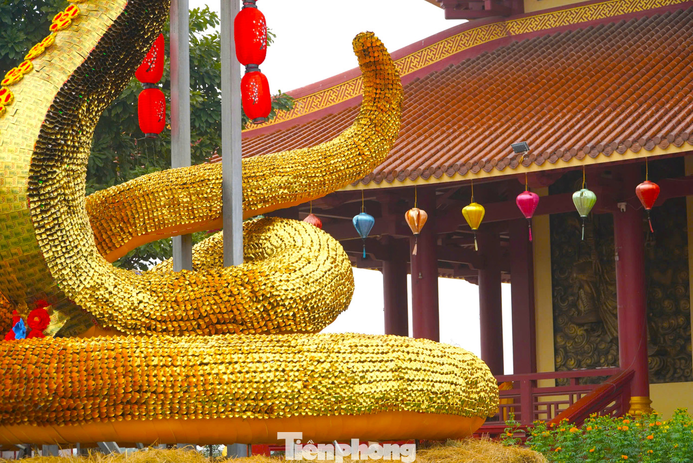 Phần thân được tạo hình, lắp ghép từ hàng chục nghìn miếng nhựa màu vàng nhỏ cuộn tròn tạo thành vảy rắn.