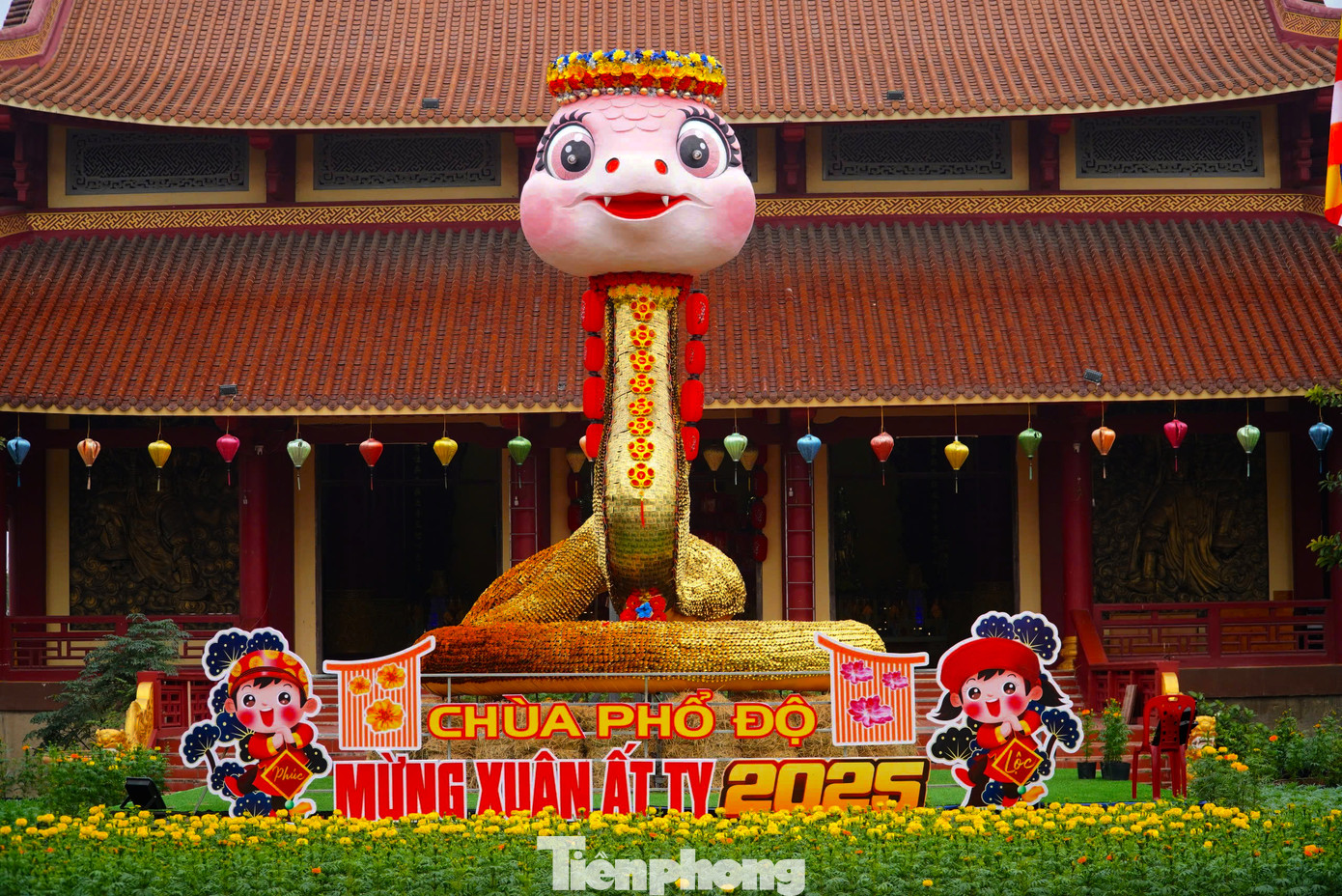 Sau khoảng 1 tháng thi công, linh vật rắn được trưng bày trong khuôn viên của chùa Phổ Độ (xã Hộ Độ, TP.Hà Tĩnh, tỉnh Hà Tĩnh) đã hoàn thành. Linh vật rắn có chiều cao 8m, được làm chủ yếu từ nhựa dẻo.