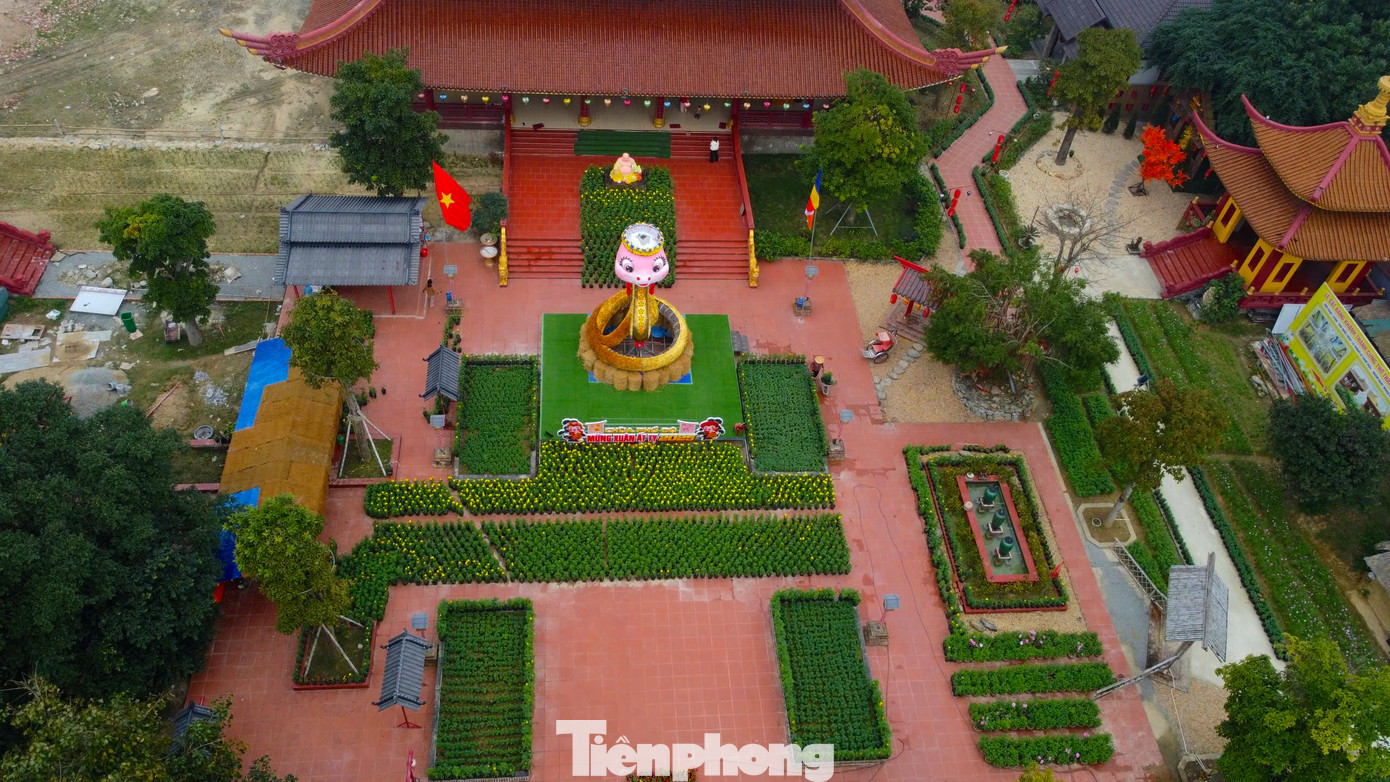 Theo đại diện chùa Phổ Độ, kinh phí làm linh vật rắn gần 80 triệu đồng.