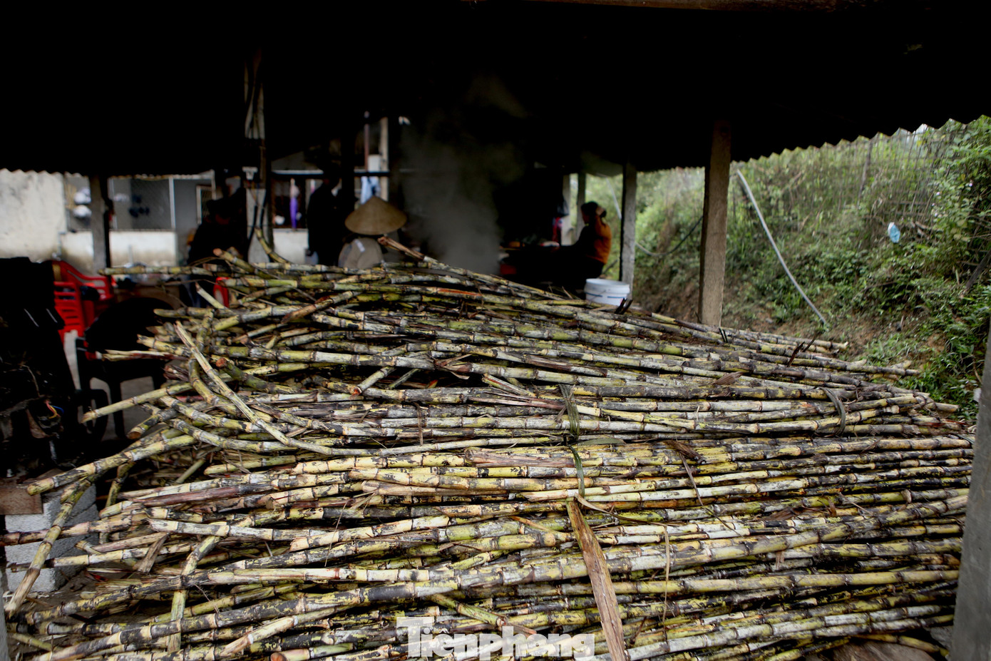 Theo người dân làm nghề ép mật mía, việc nấu mật thực hiện trong những tháng cuối năm, đặc biệt vào thị trường tiêu thụ dịp Tết. Toàn xã hiện có 100 hộ trồng và ép mật mía.