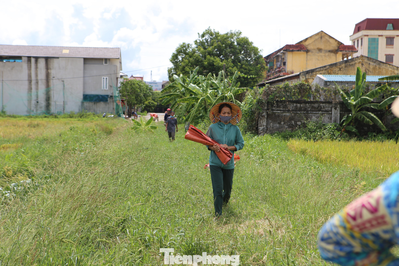 Trước diễn biến thời tiết có mưa lớn như hiện nay, bà con nông dân và các địa phương đang tập trung cao để thu hoạch và bảo toàn năng suất lúa. Tại huyện Hương Sơn hiện tại đã thu hoạch được 1.200 ha lúa hè thu (đạt 53,7% tổng diện tích). Hiện tại còn gần 50% diện tích lúa chưa được thu hoạch do những diện tích này lúa đang còn xanh. Nhiều hộ gia đình thu hoạch về đang dựng phía trong nhà tránh mưa.