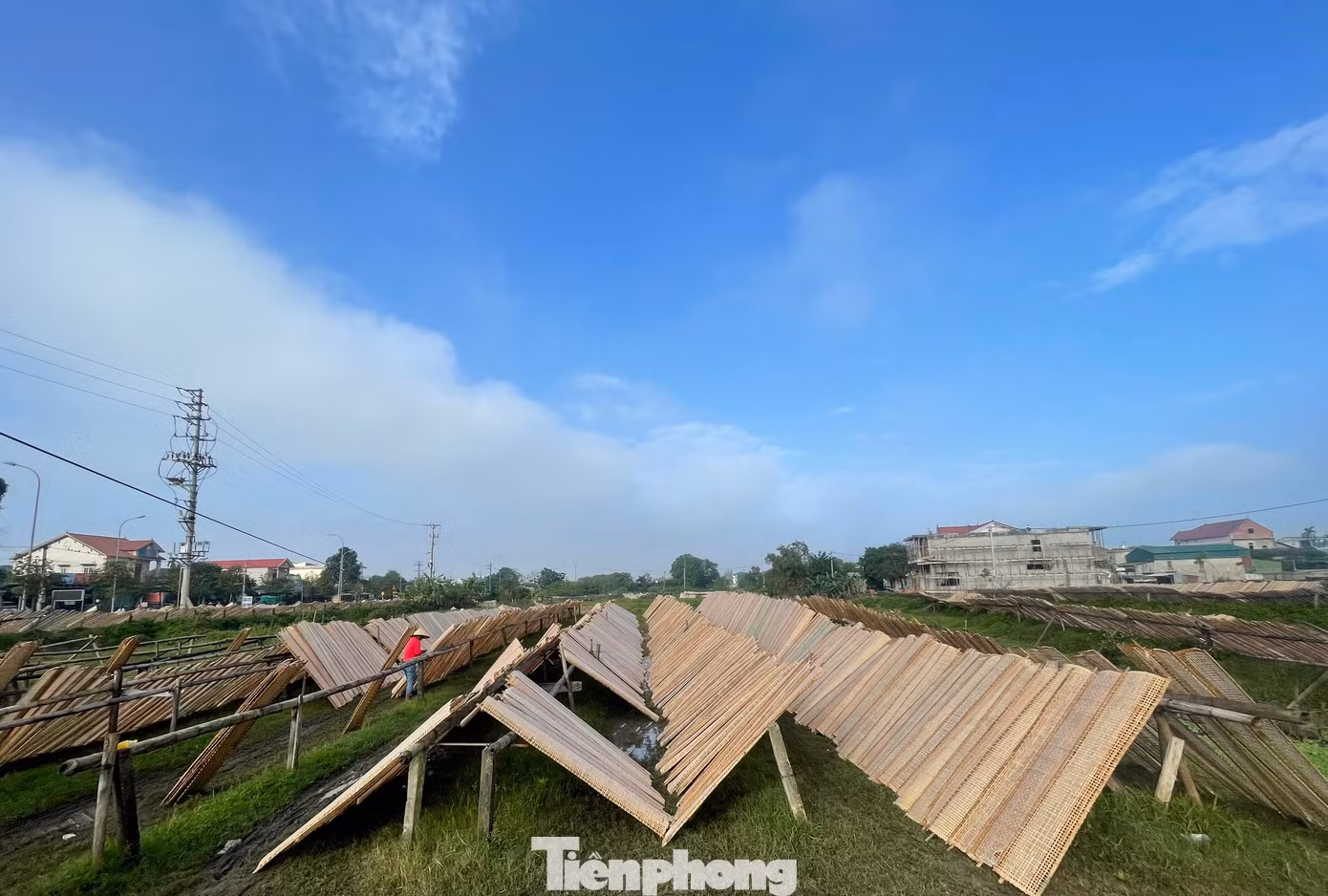Các phên nứa phơi bánh được người dân tận dụng ở những khu đất rộng rãi, sạch sẽ để “đón nắng”.
