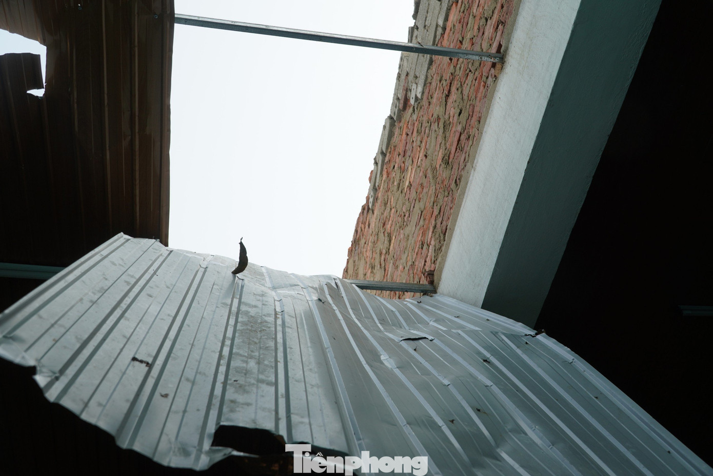 Cô Trần Thị Sự - Hiệu trưởng Trường Mầm non xã Sơn Hồng (huyện Hương Sơn, Hà Tĩnh) cho biết, hiện trường đang trong giai đoạn chờ khắc phục, sửa chữa nên chưa thể đón các cháu trở lại lớp học. Cô Trần Thị Sự - Hiệu trưởng Trường Mầm non xã Sơn Hồng (huyện Hương Sơn, Hà Tĩnh) cho biết, hiện trường đang trong giai đoạn chờ khắc phục, sửa chữa nên chưa thể đón các cháu trở lại lớp học.