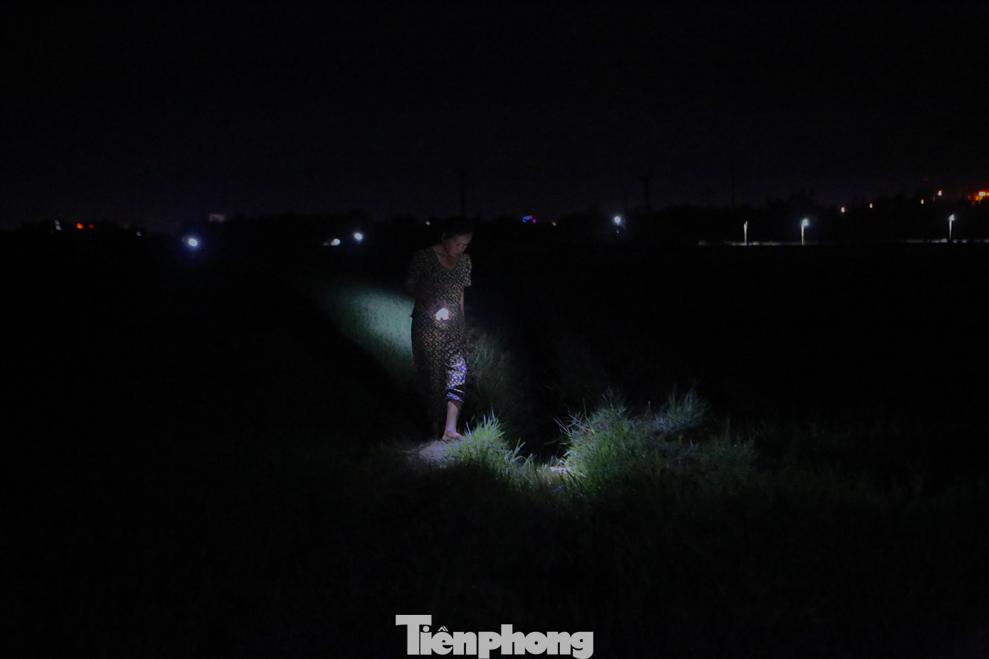 Do nắng nóng kéo dài, nhiều khu vực đồng lúa khô hạn, không có nước để sản xuất, một số người dân ở xã Tượng Sơn (huyện Thạch Hà) phải đội đèn pin ra đồng ban đêm để lấy nước vào ruộng. Do nắng nóng kéo dài, nhiều khu vực đồng lúa khô hạn, không có nước để sản xuất, một số người dân ở xã Tượng Sơn (huyện Thạch Hà) phải đội đèn pin ra đồng ban đêm để lấy nước vào ruộng.