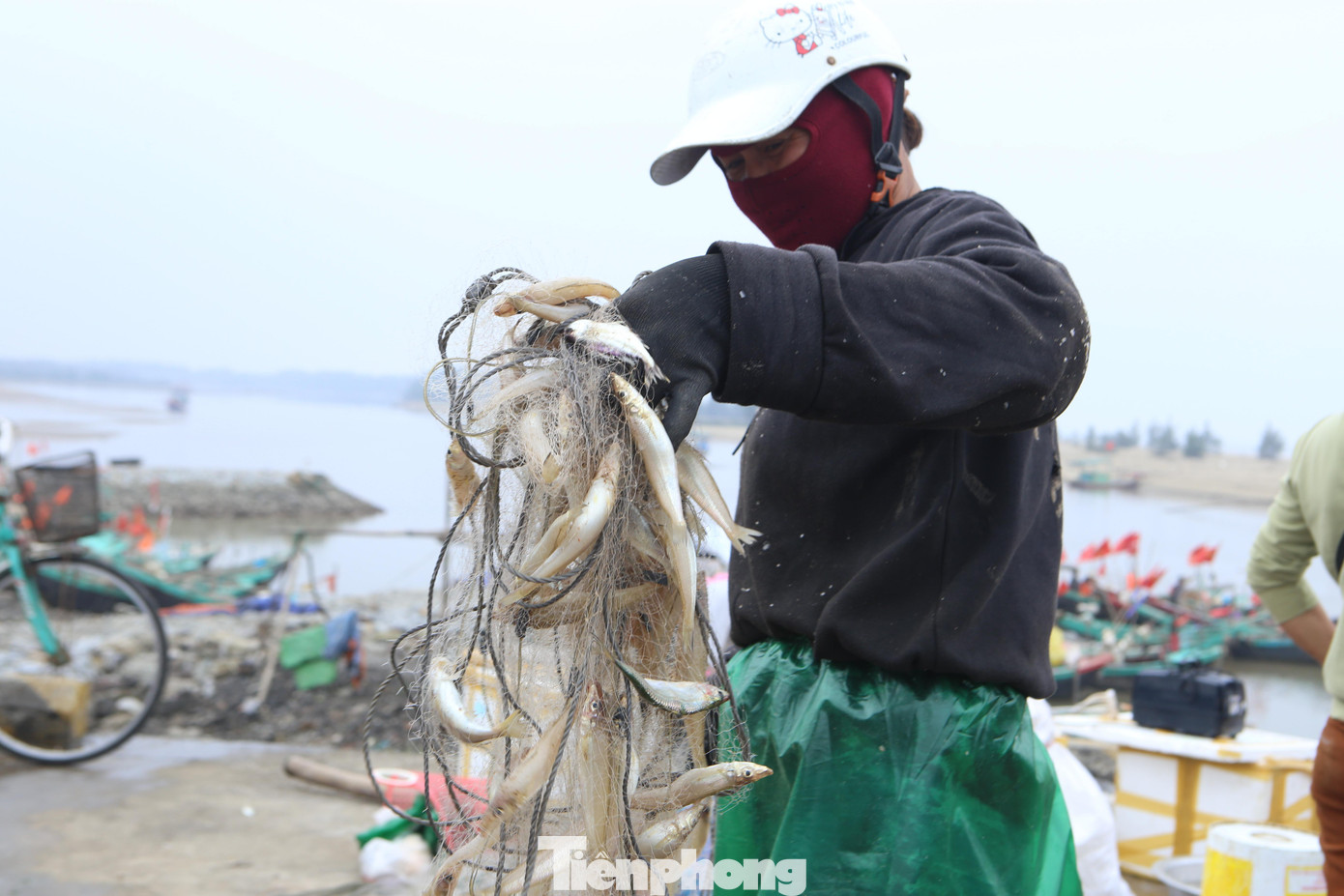 Cá đục được ngư dân ở đây bán với giá từ 50-60 ngàn đồng/kg. Theo người dân vui mừng vì thu nhập những ngày này "rất khá" do những ngày đầu năm mới giá hải sản cao, phần nữa hải sản đánh bắt được xong sẽ bán ngay trong ngày.